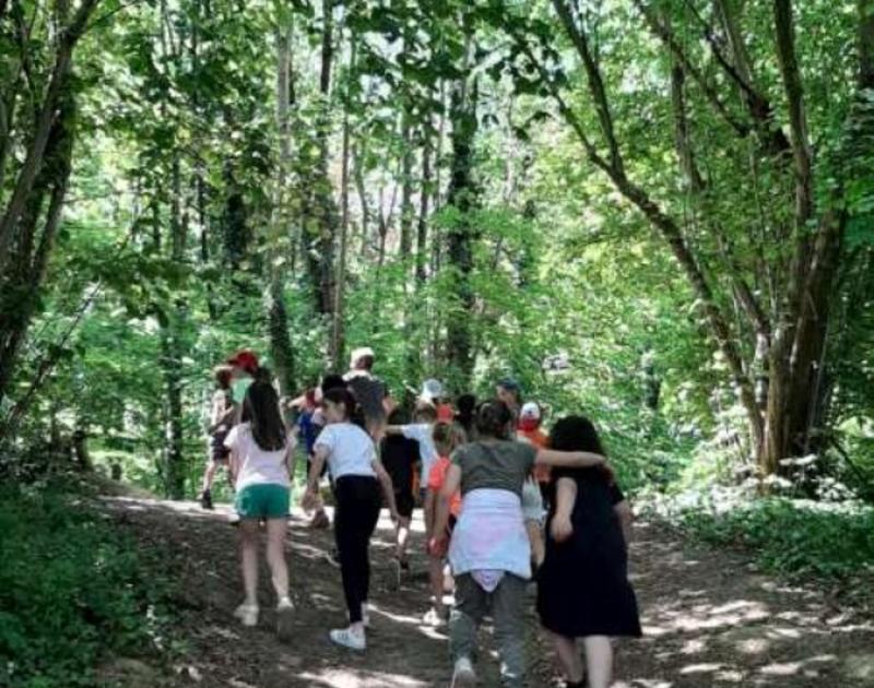 Klasblog 3de leerjaar