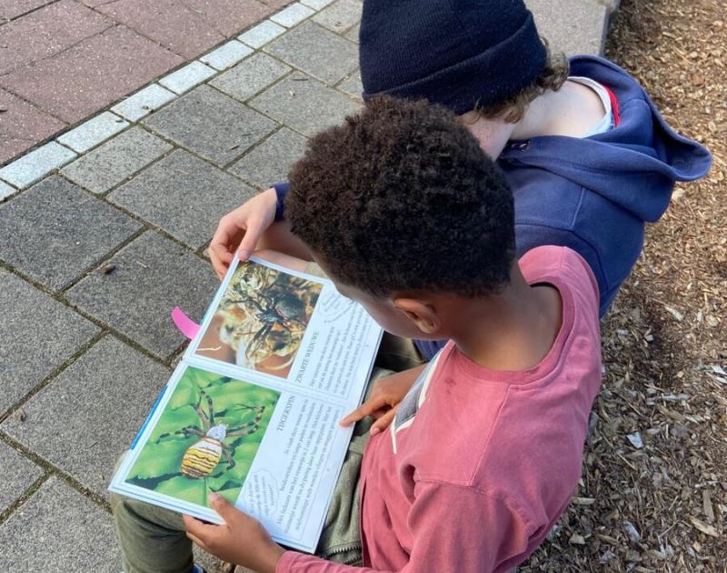 Klasblog 3de leerjaar