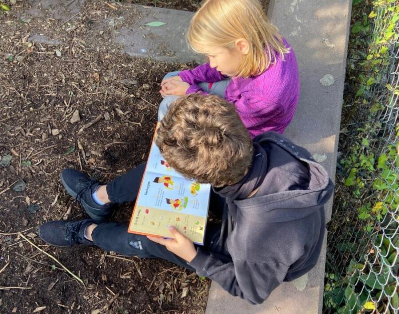 Klasblog 3de leerjaar