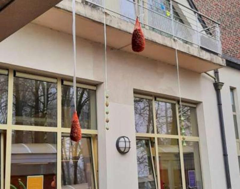 Klasblog 3de leerjaar