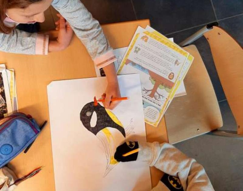 Klasblog 3de leerjaar