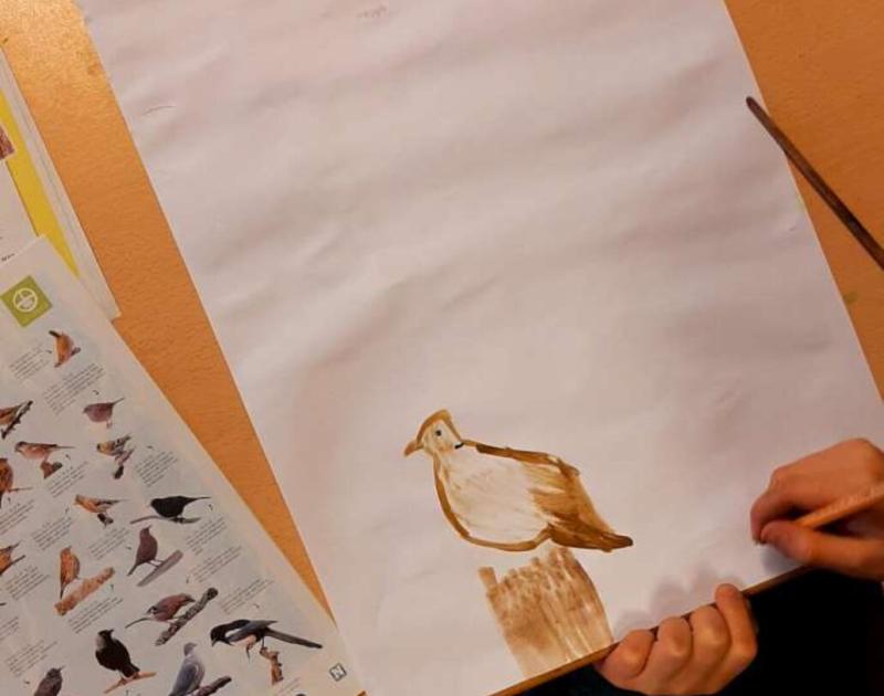 Klasblog 3de leerjaar