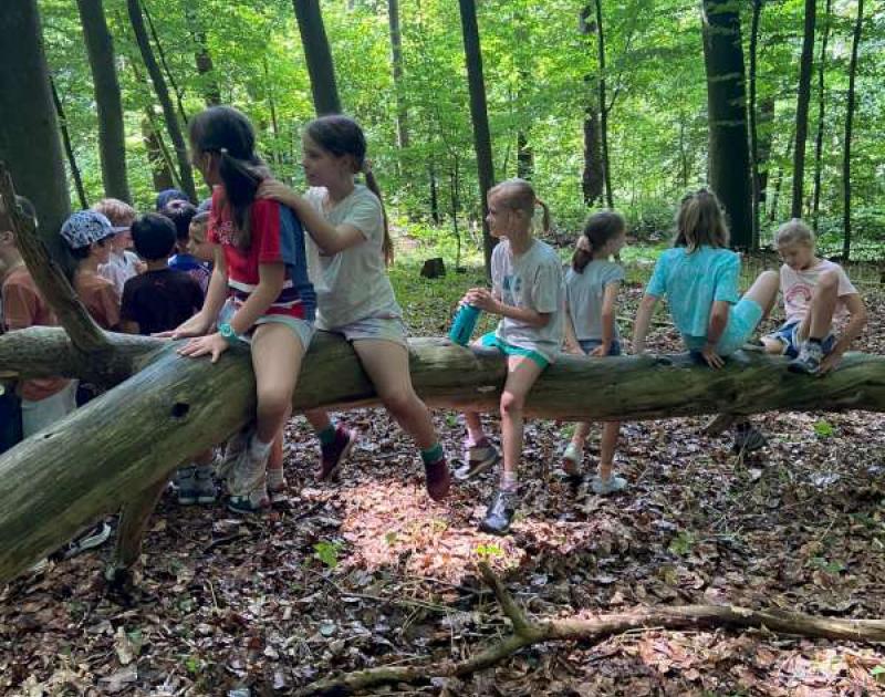 Klasblog 3de leerjaar