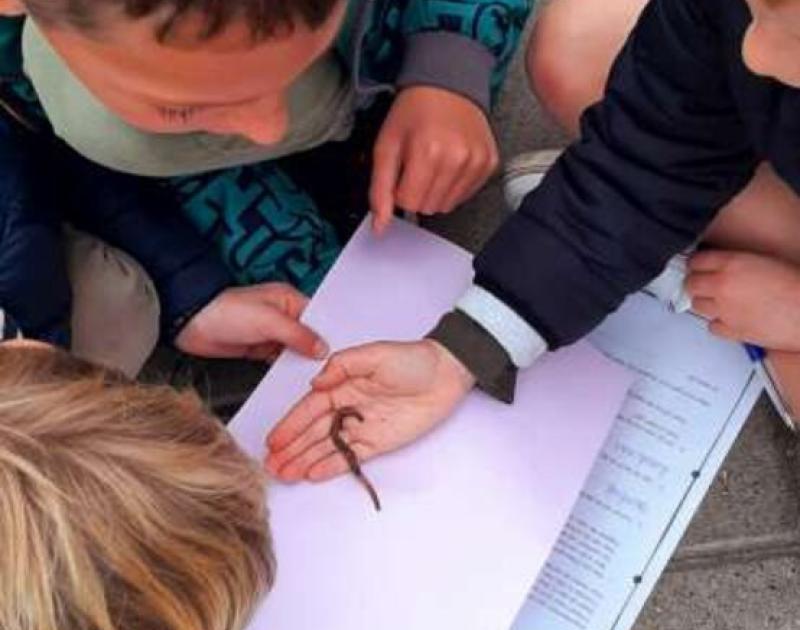 Klasblog 3de leerjaar