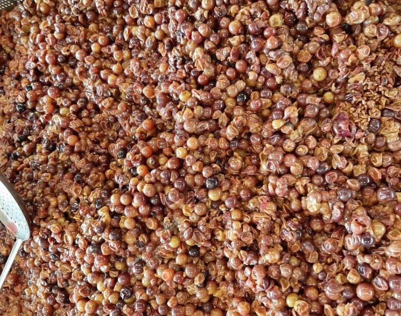 Klasblog 3de leerjaar