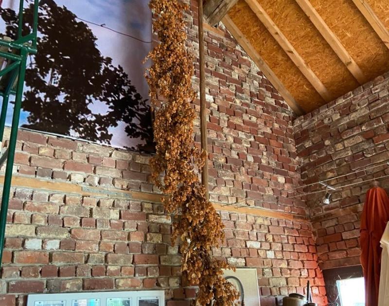 Klasblog 3de leerjaar