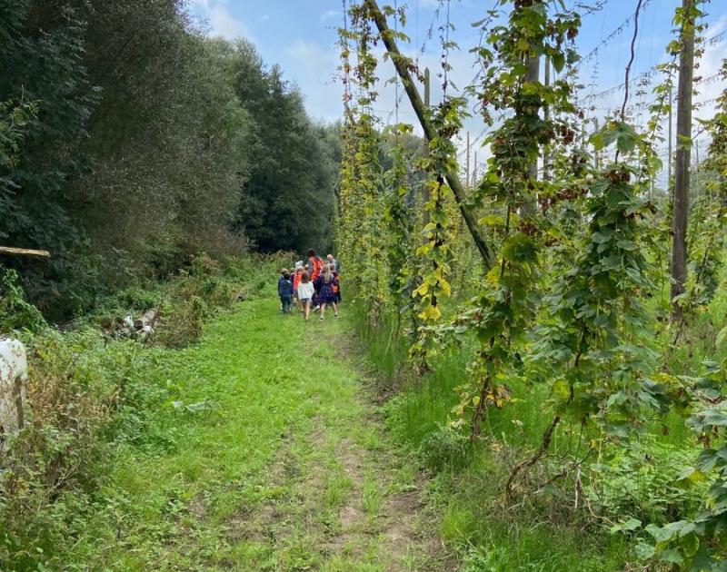 Klasblog 3de leerjaar