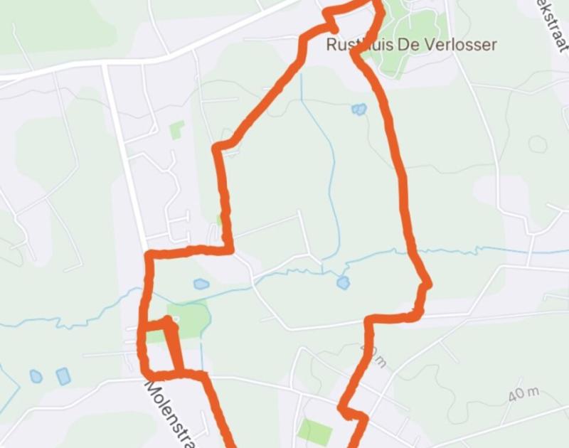 Klasblog 3de leerjaar