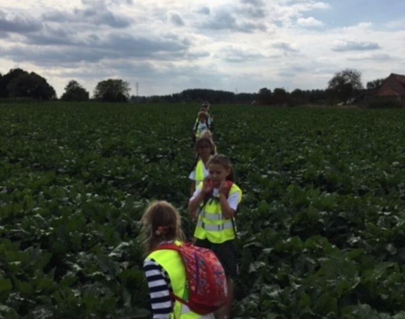 Klasblog 3de leerjaar