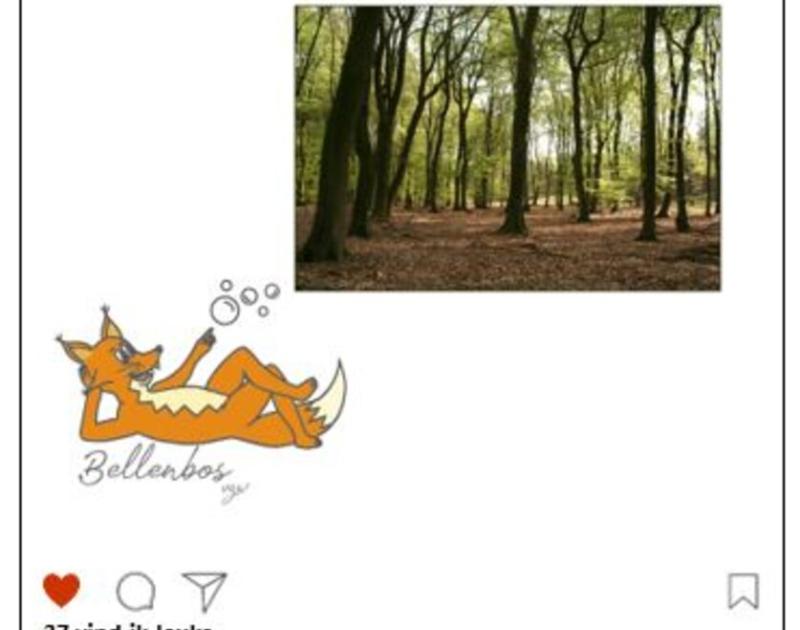 Klasblog 3de leerjaar