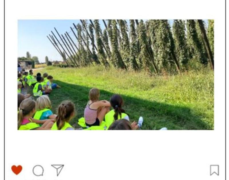 Klasblog 3de leerjaar