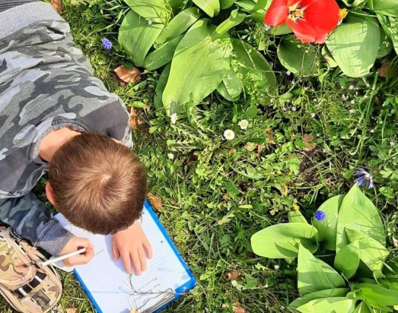 Klasblog 3de leerjaar