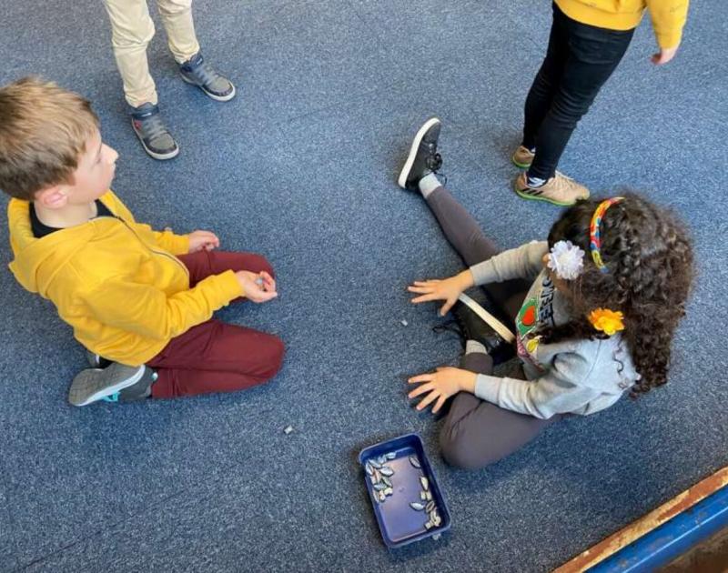 Klasblog 3de leerjaar