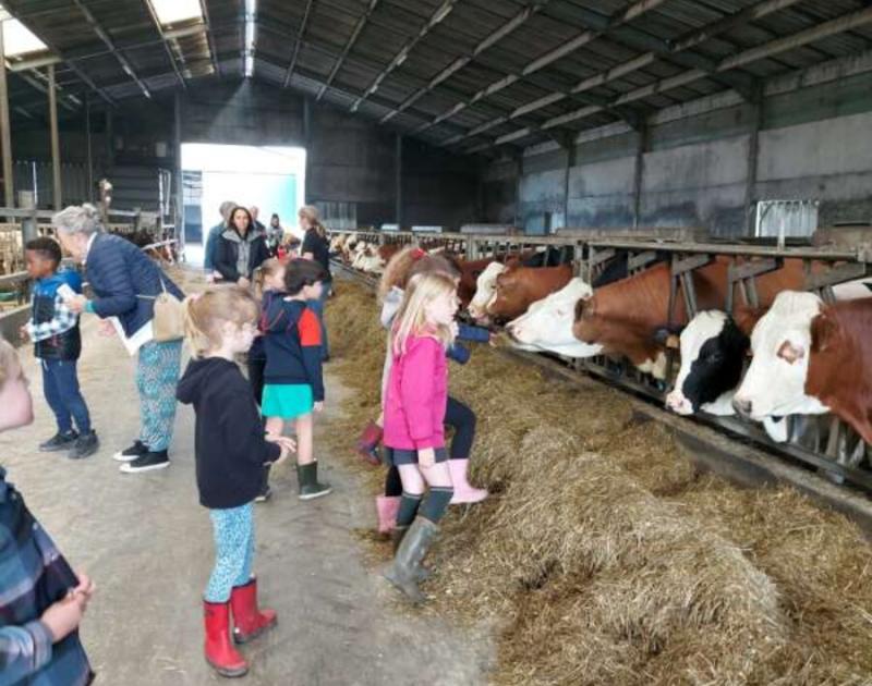 Klasblog 1ste leerjaar