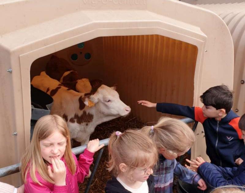 Klasblog 1ste leerjaar