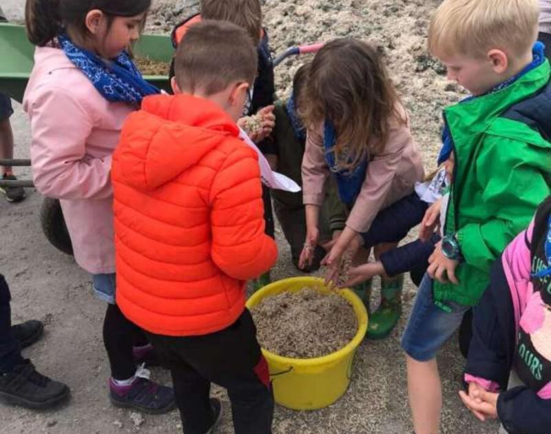 Klasblog 1ste leerjaar