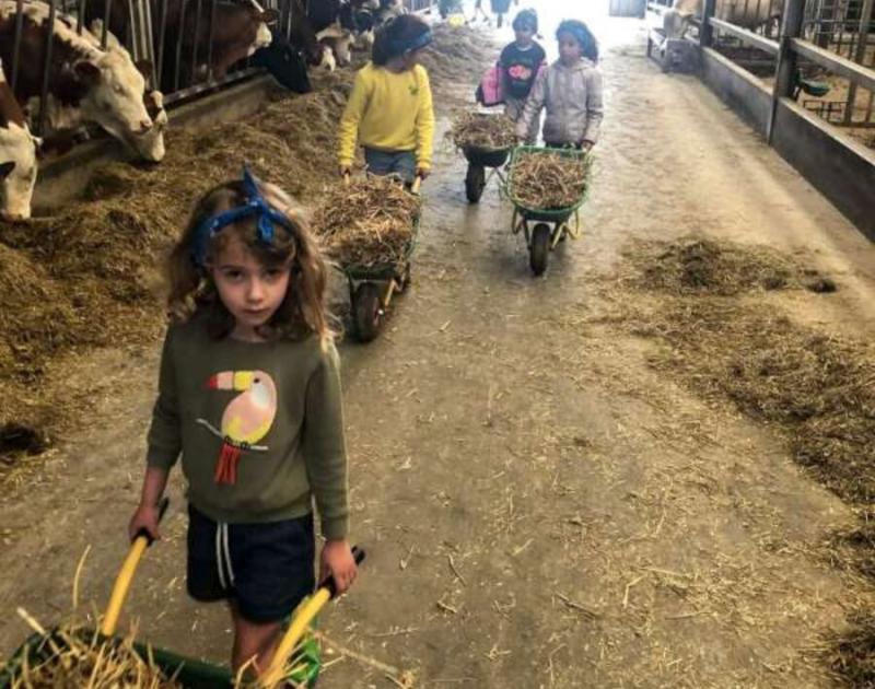 Klasblog 1ste leerjaar