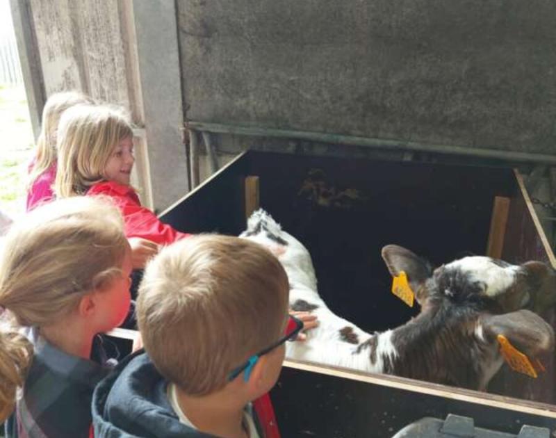 Klasblog 1ste leerjaar