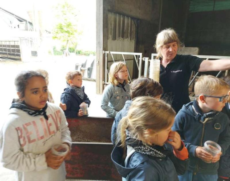 Klasblog 1ste leerjaar