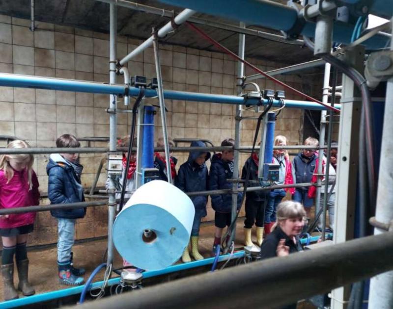 Klasblog 1ste leerjaar