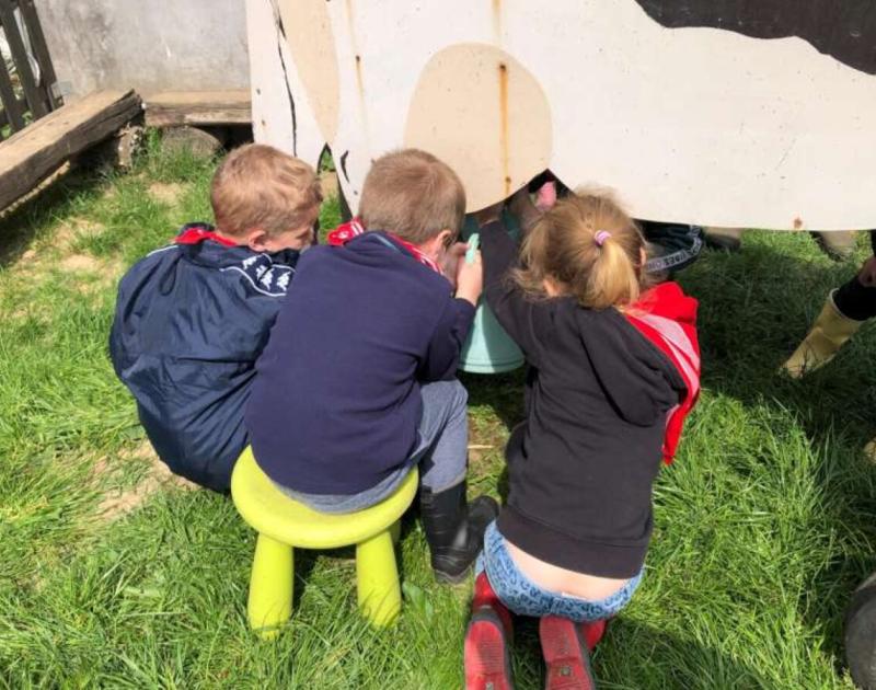 Klasblog 1ste leerjaar