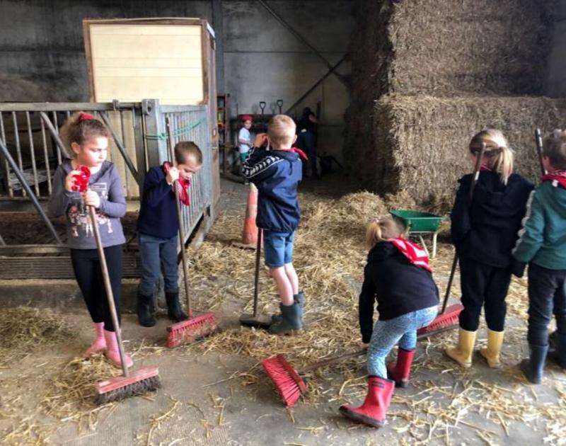 Klasblog 1ste leerjaar