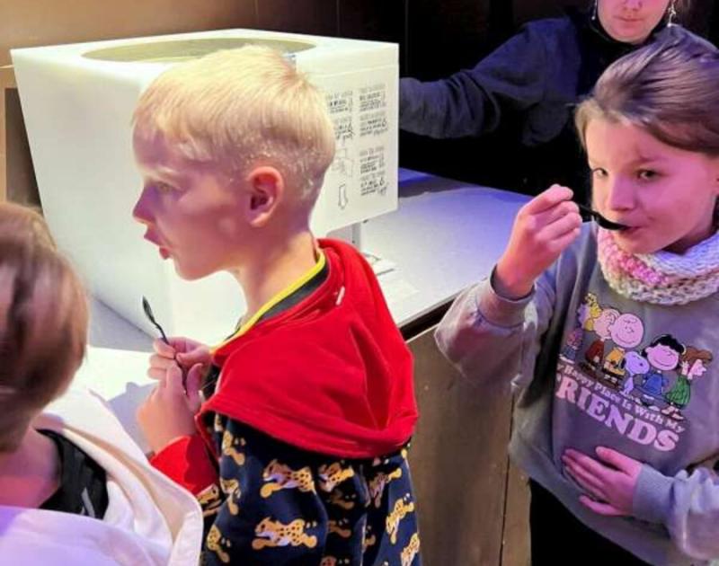 Klasblog 2de leerjaar