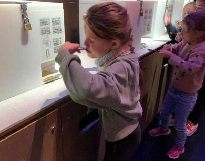 Klasblog 2de leerjaar