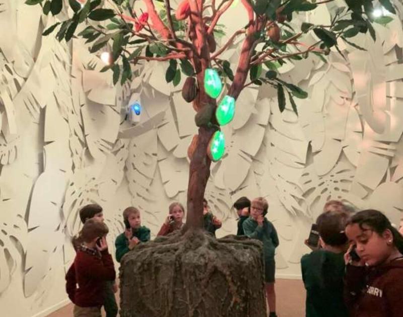 Klasblog 2de leerjaar