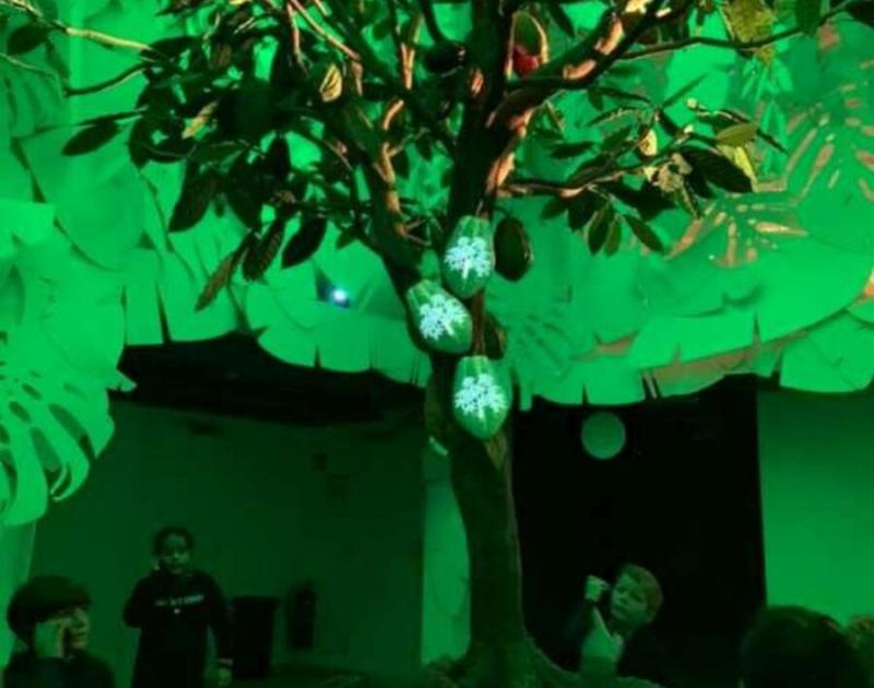 Klasblog 2de leerjaar