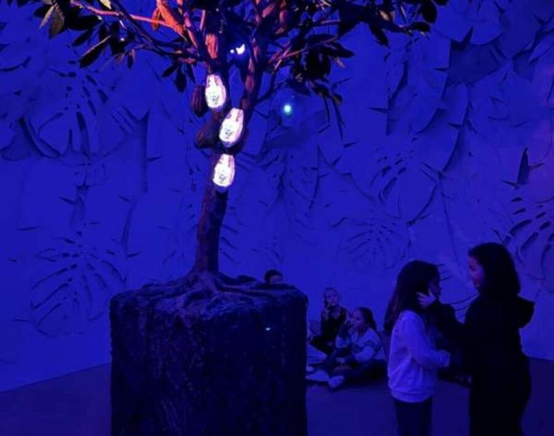 Klasblog 2de leerjaar