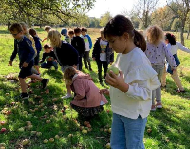 Klasblog 2de leerjaar