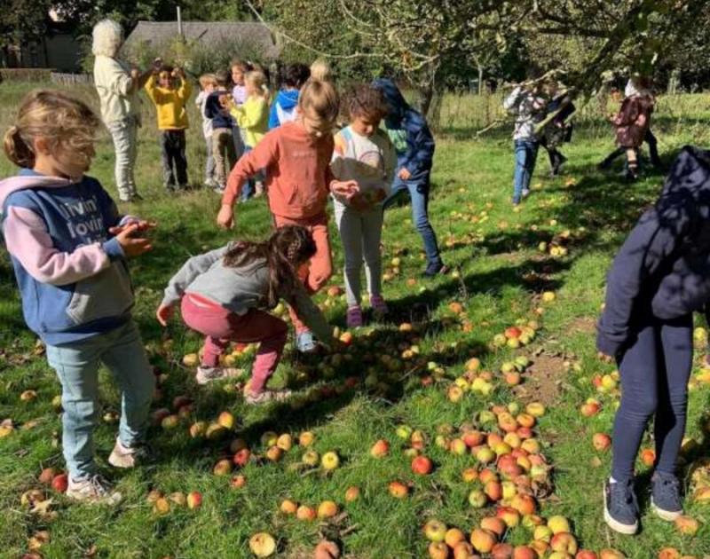 Klasblog 2de leerjaar