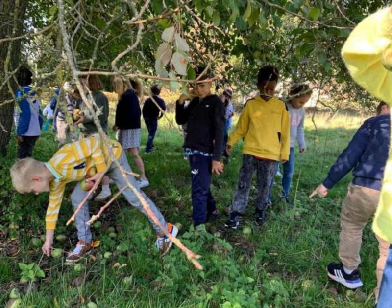 Klasblog 2de leerjaar