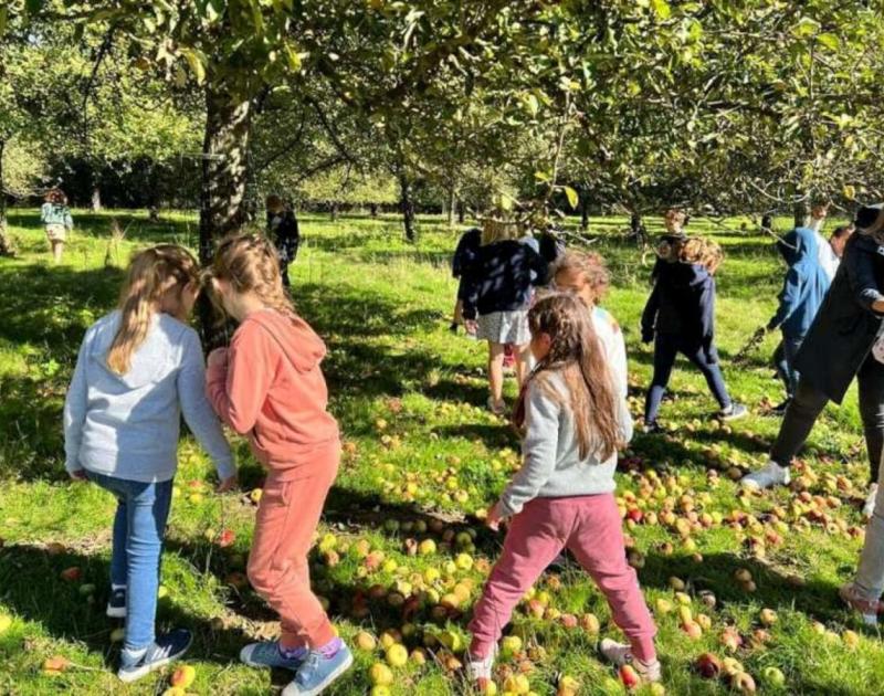 Klasblog 2de leerjaar