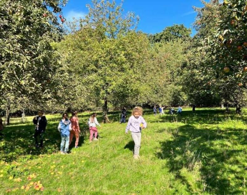 Klasblog 2de leerjaar