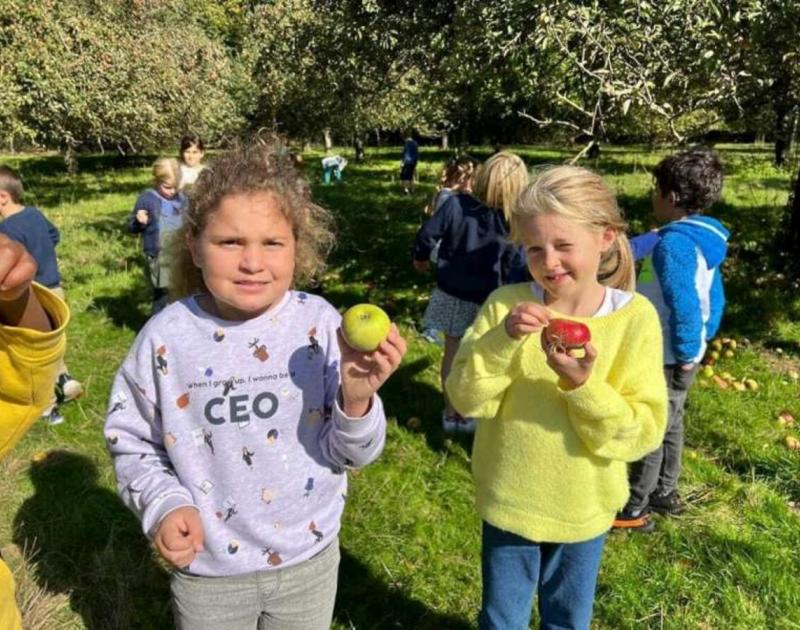 Klasblog 2de leerjaar