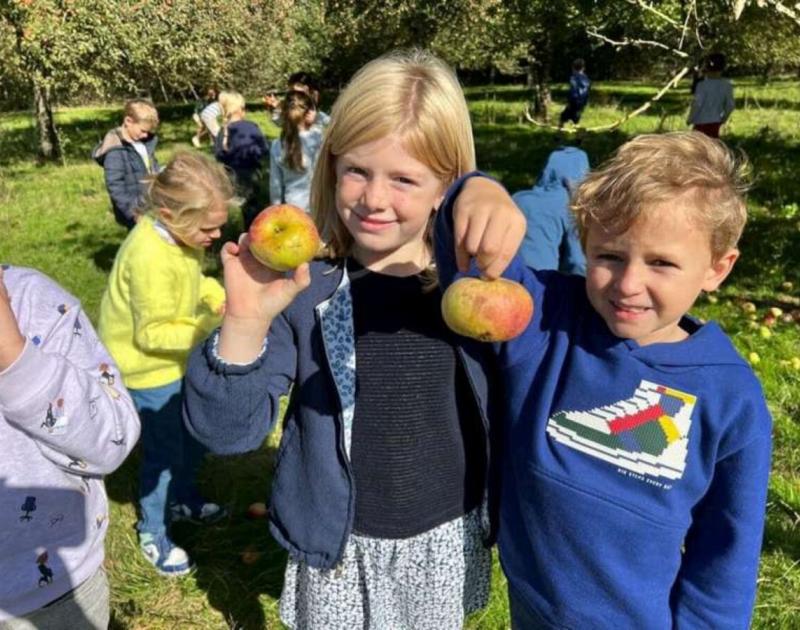 Klasblog 2de leerjaar