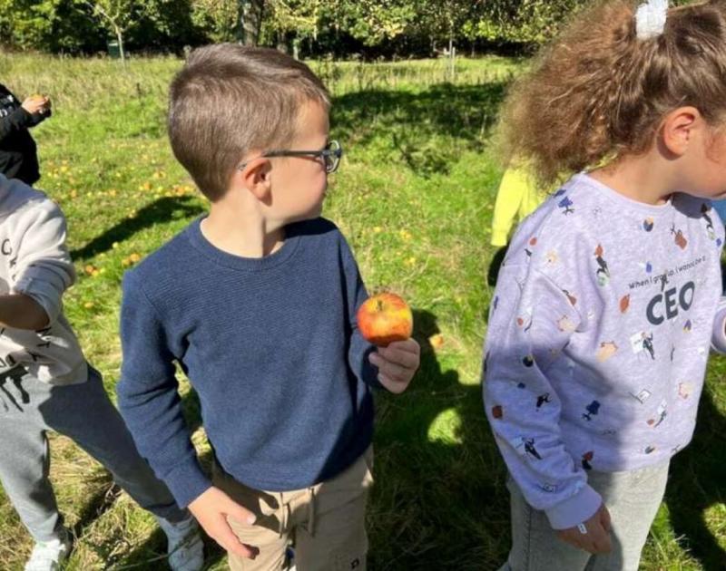 Klasblog 2de leerjaar