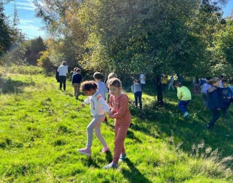 Klasblog 2de leerjaar