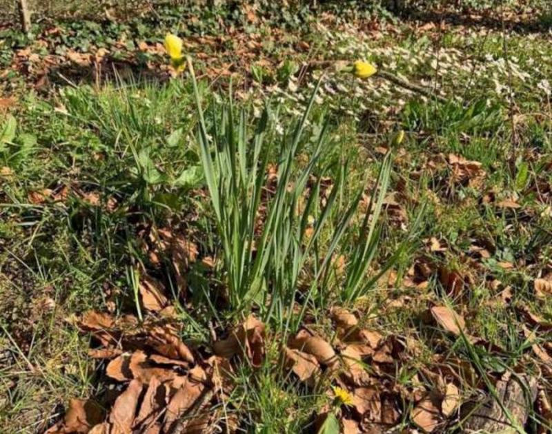 Klasblog 2de leerjaar