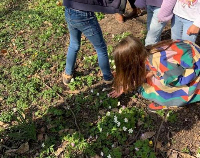 Klasblog 2de leerjaar