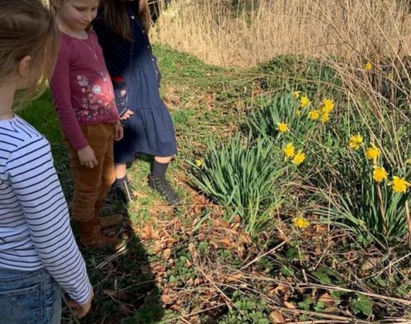 Klasblog 2de leerjaar