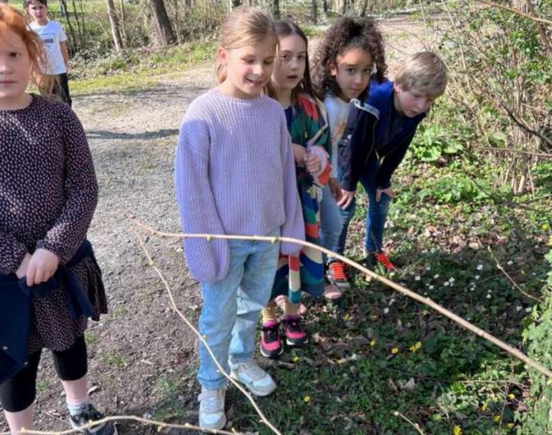 Klasblog 2de leerjaar