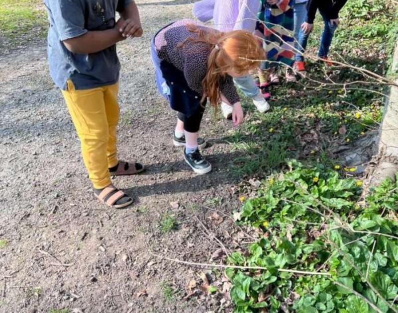 Klasblog 2de leerjaar