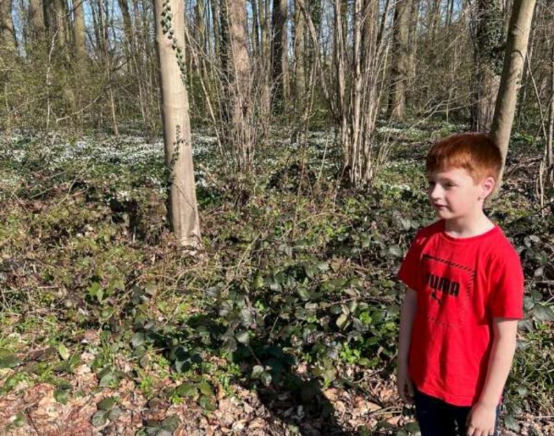 Klasblog 2de leerjaar