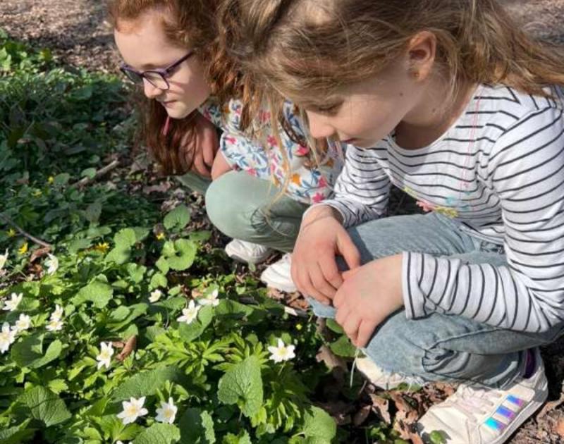 Klasblog 2de leerjaar