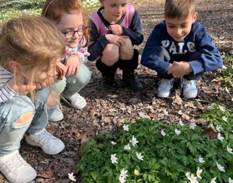 Klasblog 2de leerjaar