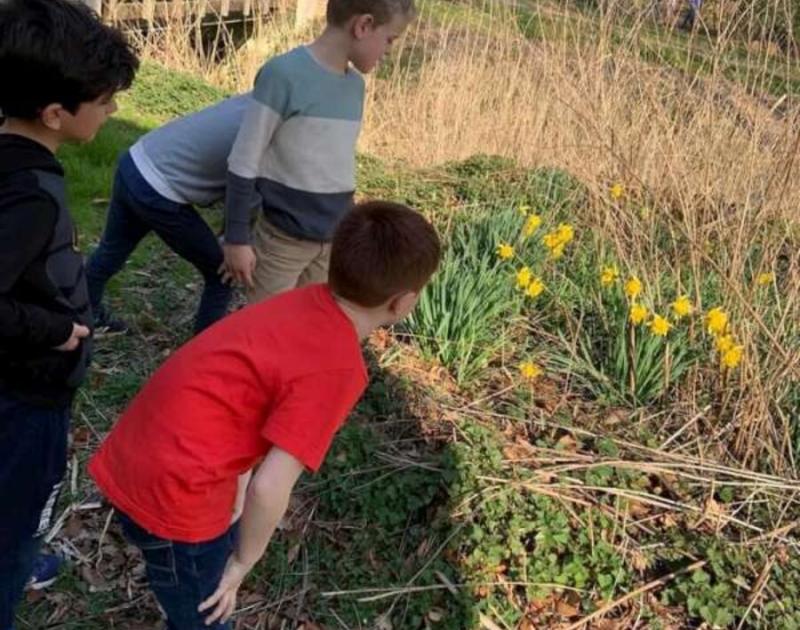 Klasblog 2de leerjaar