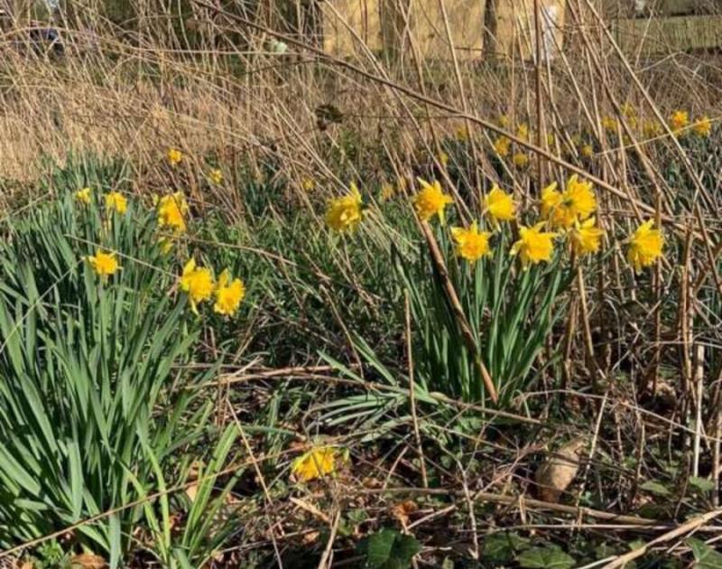 Klasblog 2de leerjaar